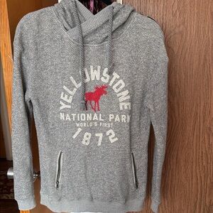 Gray Yellowstone National Park Hoodie